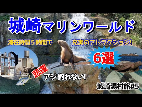 【城崎湯村旅 #5】湯村から但馬漁火ラインを通って、城崎マリンワ－ルドへ。滞在時間約5時間で、フィッシュダンスを含む6つのアトラクションに参加。唯一残念なのは、不漁で「アジ釣り」が出来なかったこと!