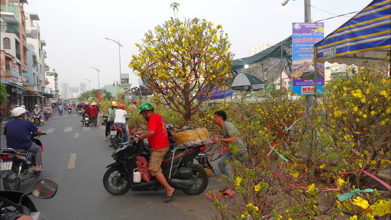 Đại gia quận 7 chốt cây mai khủng tại Bến Bình Đông ngày 28 Tết, ai cũng trầm trồ