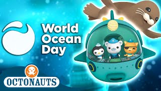 ​@Octonauts - 🌎 World Ocean Day 3 Hour Special!  🌊 | 180 Mins Compilation | Underwater Sea Education