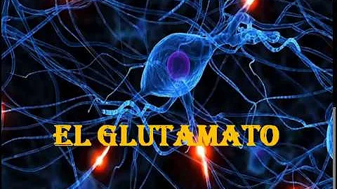 ¿Dónde se produce el neurotransmisor glutamato?