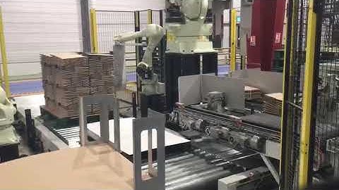 robopacker turning autolock boxes and Palletiser  2