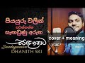 Sandaganawa (සඳගනාව) - Dhanith Sri (Cover + Meaning/Story by Vichare)