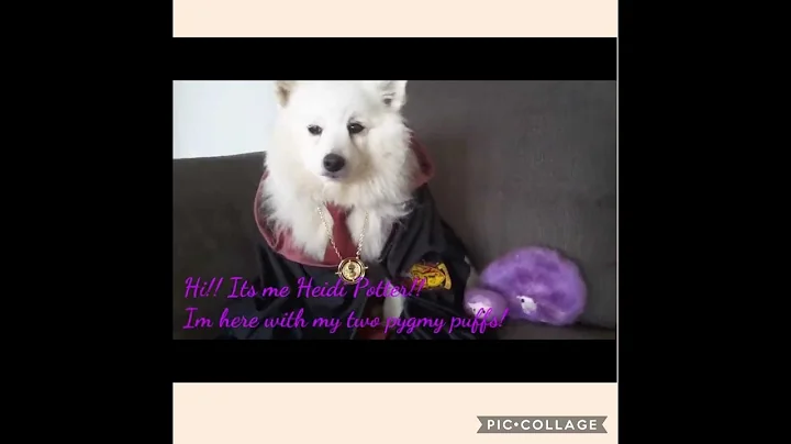 Heidi Potter #1