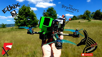 Dancing with the Trees 🌳🌳🌳😁✌ ( Freestyle Fpv )