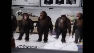 обезьяны у аа уаа