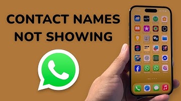 How To Fix WhatsApp Not Showing Contact Names But Only Numbers?