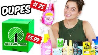 Dollar Tree Knockoffs Brands are Afraid You'll Find Out About screenshot 5