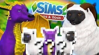 SPYRO The Dragon & Sheep CrossBreed Babies?!