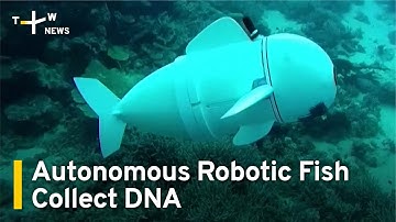 Autonomous Robotic Fish Collects DNA | TaiwanPlus News
