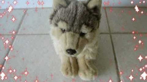 ~Dynamite~ Webkinz Music Video