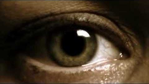 Anti-Drug Video: Popular