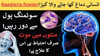 What Is Naegleria fowleri | Brain Eating Amoeba (Urdu/Hindi)