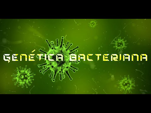 Vídeo: Genomas De Los Bacteriófagos Relacionados Con T4 Como Ventanas En La Evolución Del Genoma Microbiano