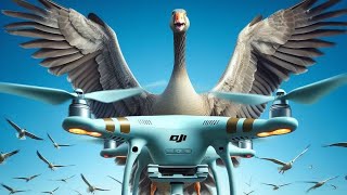 Dji Mini 4 Pro Drone Crash Into Goose And Died !