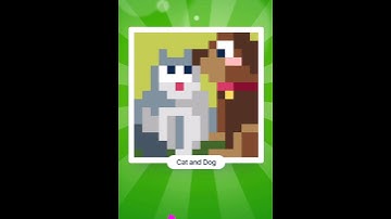 #027 Cat and Dog 🐱🐶 [15x15] - #Nonograms solver with music