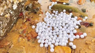 A pile of pearls under the rock! Discover the oversized lobster nest, eel nest! Rich! #Pearl#lobste