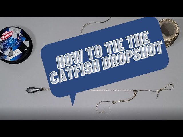 Best Catfish Rig Using the Dropshot, AKA the Dropper Loop Rig or the  Kentucky Rig 