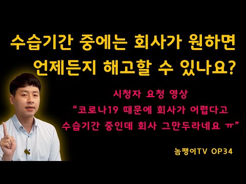 수습기간 중에는 회사가 원하면 언제든지 해고할 수 있나요 