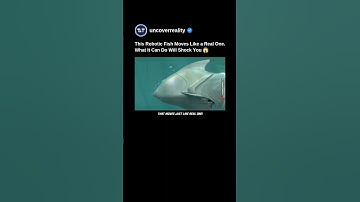 This Robotic Fish Moves Like A Real One. What It Can Do Will Shock You #robot #shorts #engineering