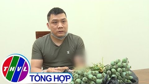 Bắt giữ cặp vợ chồng chuyên rao bán quả cây anh túc trên mạng xã hội