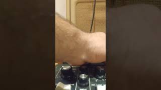 Lofi Ambient relaxing music with Moogerfooger Analog Delay / Strymon Mobius / Strymon BlueSky