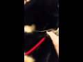 Shocking pussy kitty suddenly surprise