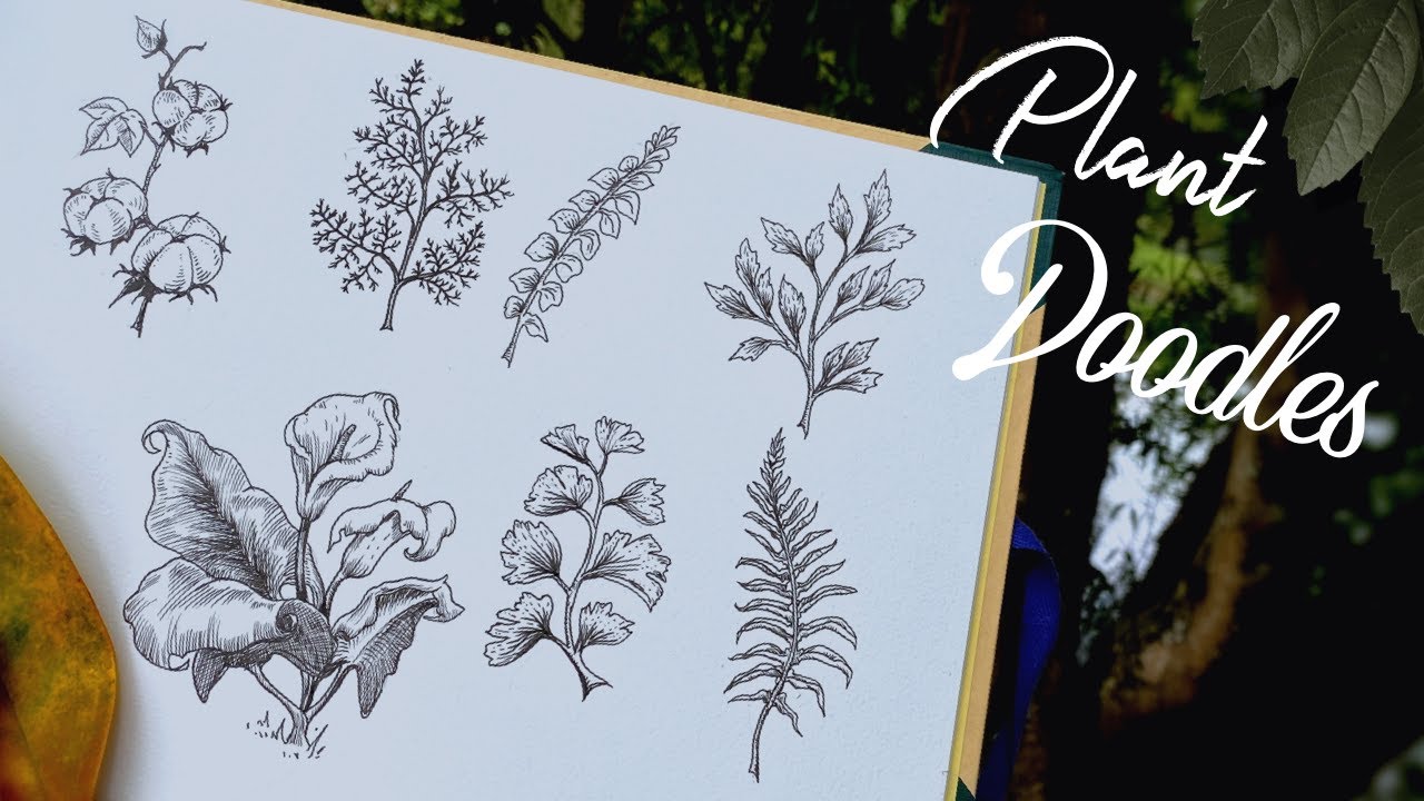 Drawing leaves and flowers | Easy botanical doodles | How to draw ...