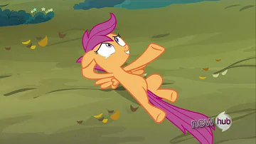 Scootaloo tries to play it cool