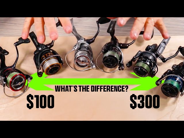 Best Inshore Saltwater Reel For You: $100 vs $200 vs $300 Breakdown - YouTube Best Inshore Saltwater Reel For You: $100 vs $200 vs $300 Breakdown - YouTube