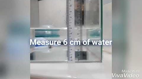 [PHYSICS] Real Depth & Apparent Depth Experiment