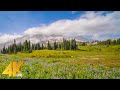 Hazy Sky over Reflection Lake Area - 4K Relaxation Video with Nature Sounds - Episode #2