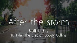 Kali Uchis - After the storm ft. Tyler, The Creator, Bootsy Collins (Lyrics)