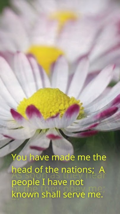 Unveiling The Dark Truth Of Psalm 18 43 45 YouTube unveiling-the-dark-truth-of-psalm-18-43-45-youtube
