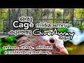 Cage making with Giveaway. #pigeon#pigeon_malayalam#ottamoolikarshakan#പ്രാവ്#പറവ#giveaway