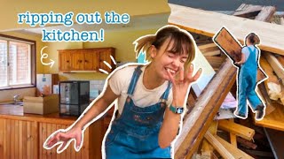 RIPPING OUT THE KITCHEN | RENOVATION VLOG 2