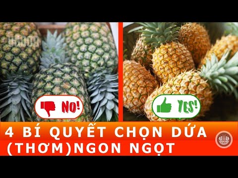 CÁCH CHỌN DỨA NGON NGỌT Dùng 4 Cách Chọn Quả Dứa Thơm Này Để Tránh Ăn Quả Chua