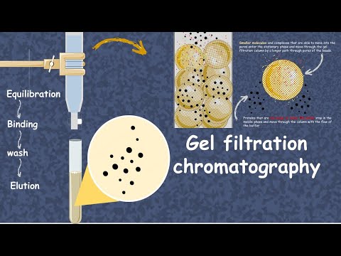 Video: Ar gēla filtrācijas hromatogrāfiju?