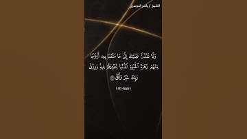 سورة طه الآيات 131-132 ياسر الدوسري