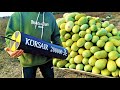 Korsair 200000 and 5 tons of watermelon