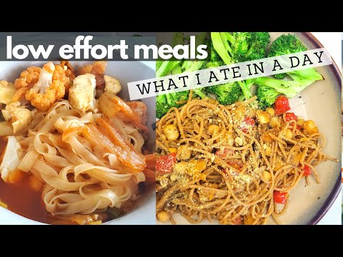 LAZY VEGAN MEALS FOR ONE (what I ate in a day)