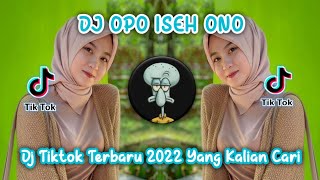Download lagu DJ OPO ISEH ONO DJ VIRAL TIKTOK TERBARU 2022 YANG KALIAN CARI