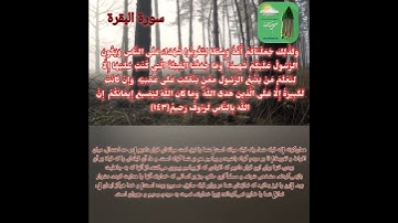 قرآن کریم/سوره بقره، آیه ۱۴۳ با ترجمه فارسی