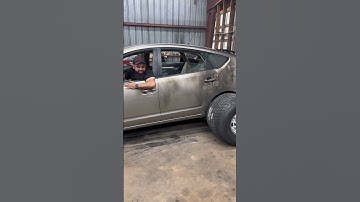 Give Max a Prius…what could go wrong… #cars #nature