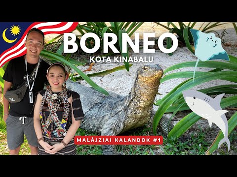 Videó: Utazási útmutató a malajziai Borneó Labuan-szigetére