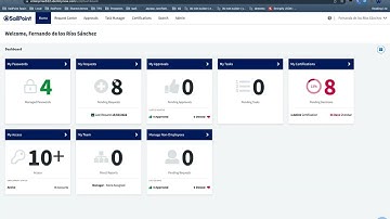 SailPoint IdentityNow - Approval & certification delegation management system