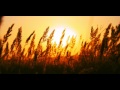 Miniature de la vidéo de la chanson Sun 2011 (4 Strings Remix)
