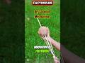 Turning a Coconut Shell into a Powerful Tool! #primitiveskills #Factozian #CoconutDIY #Engineering