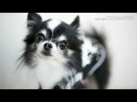 声加工した☆