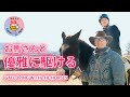 大自然の中の乗馬体験！大分県九重町でお馬さんと一緒にゆうゆう散歩を満喫【沸騰大分】