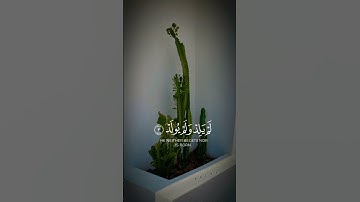 #سورة_الإخلاص تعدل ثلث القرآن الكريم 💚✨